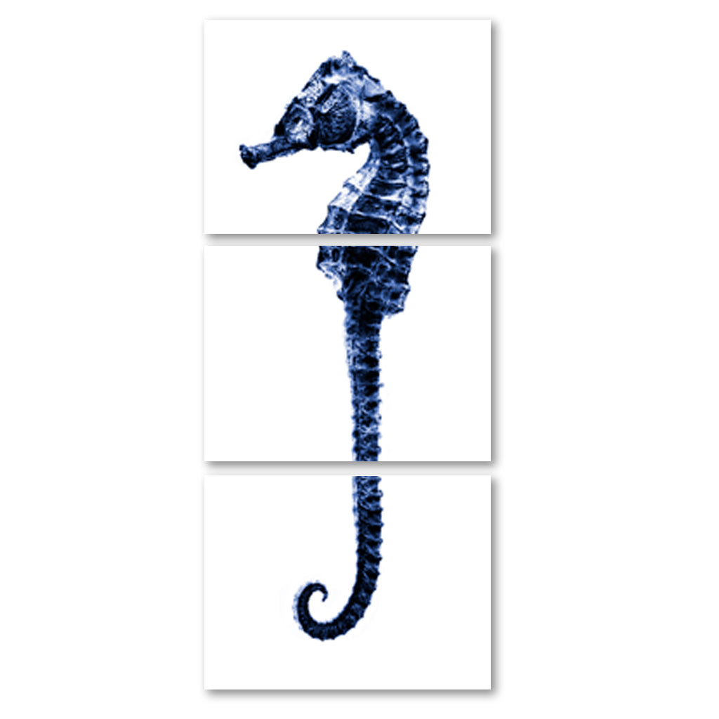 Sea Horse #2 trilogy