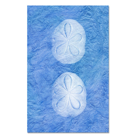 Sea Biscuit