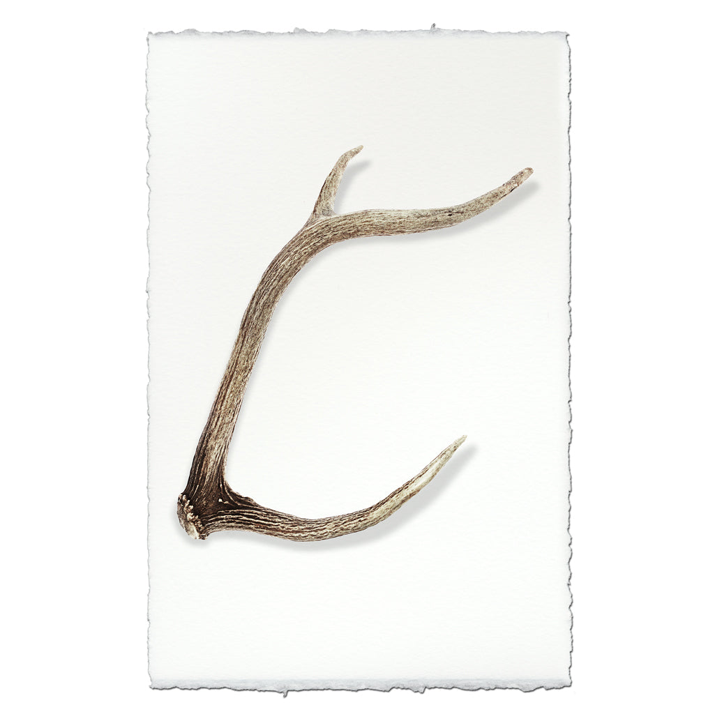 Deer Sheds #7