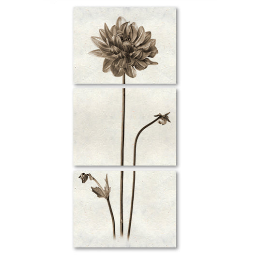 Single Dahlia Trilogy