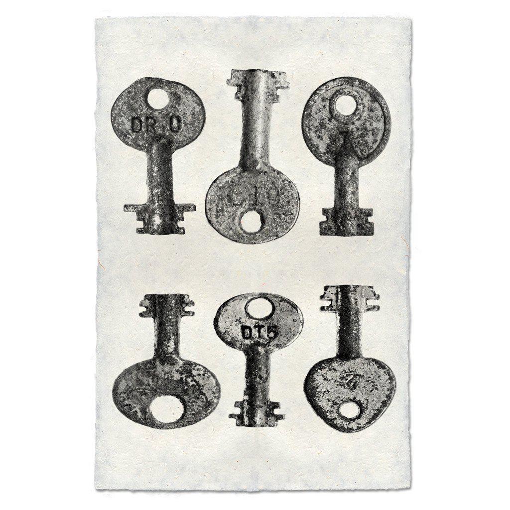 Key Study #15