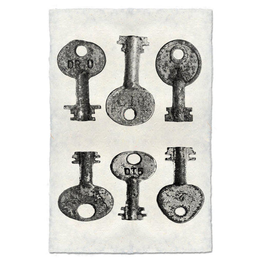 Key Study #15