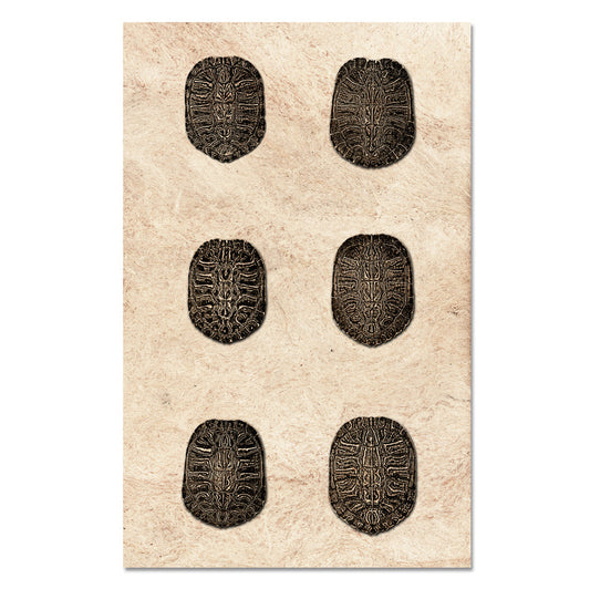 Six Shells