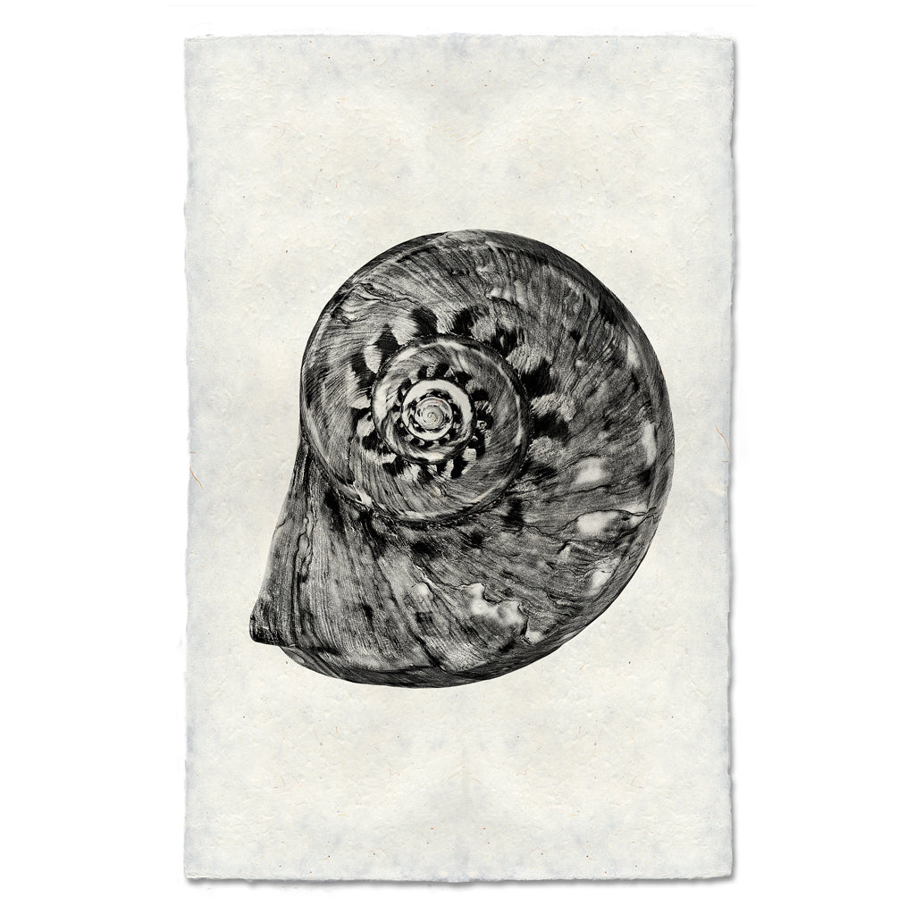 Spiral