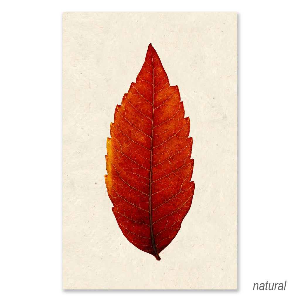 Sumac grand format