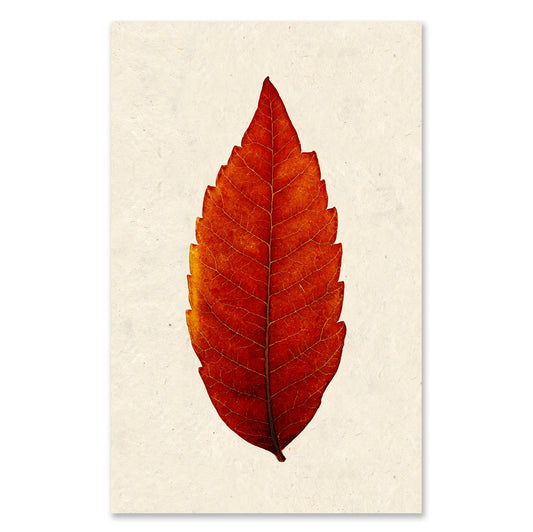 Sumac grand format