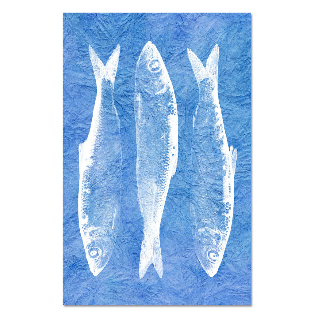 3 Fish
