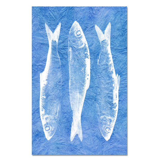 3 Fish