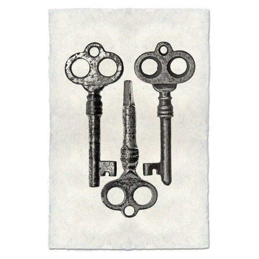 Key Study #6