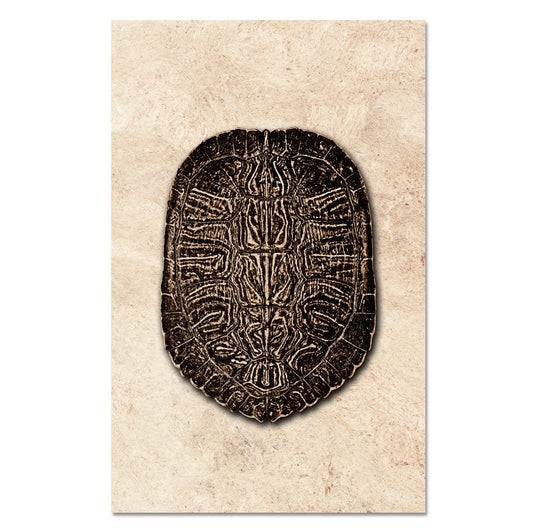 Turtle Shell #5