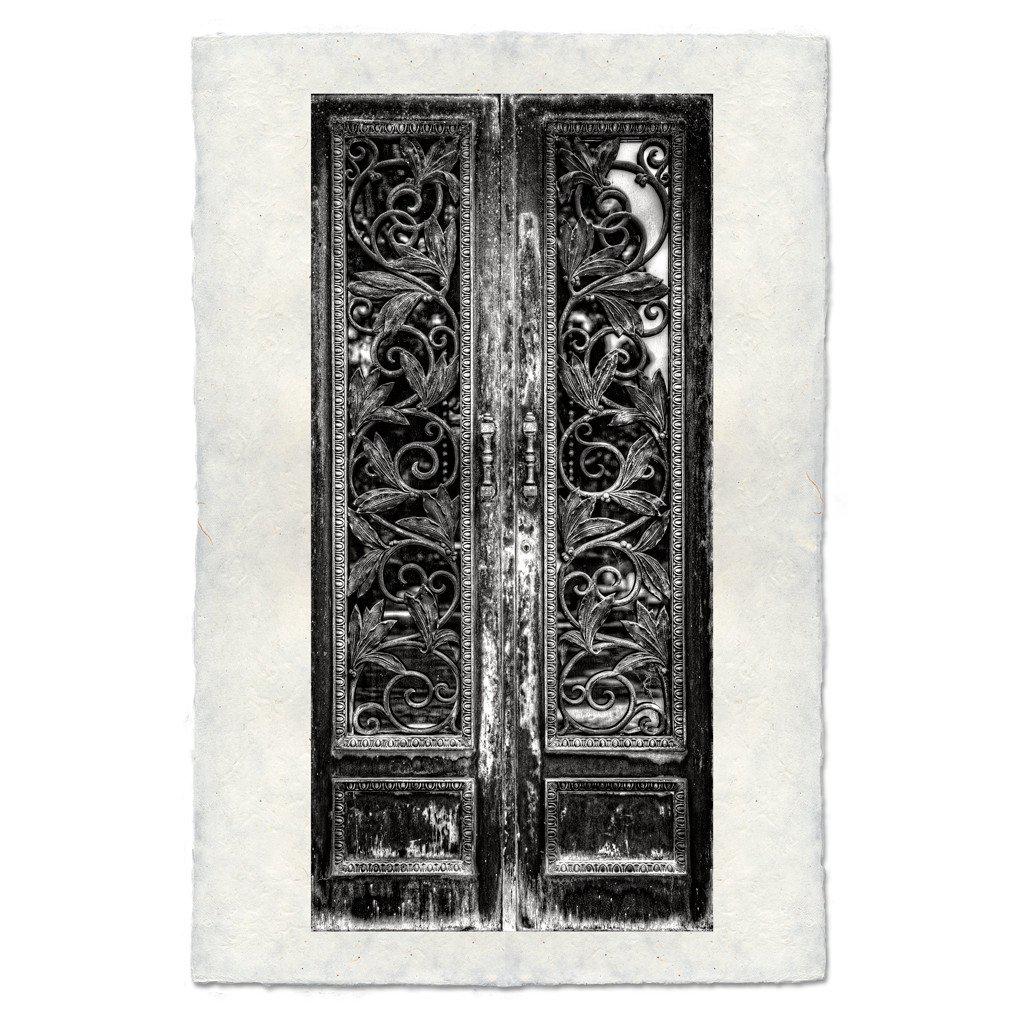 Vine Door