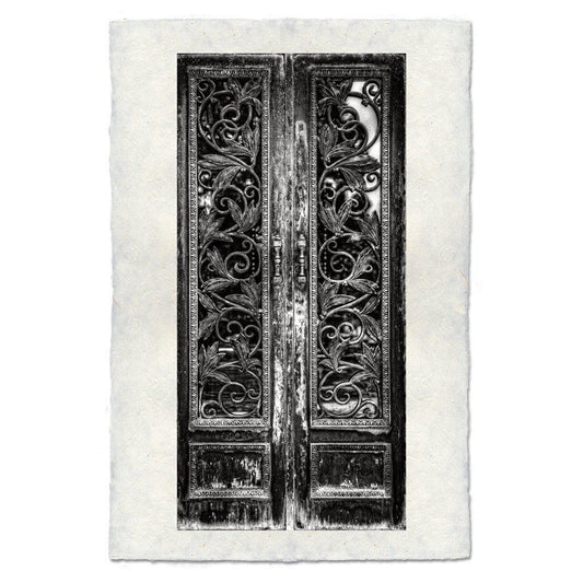 Vine Door