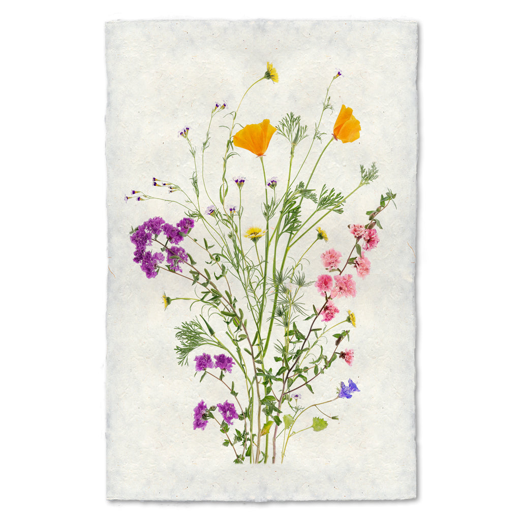 Wildflowers Of The West