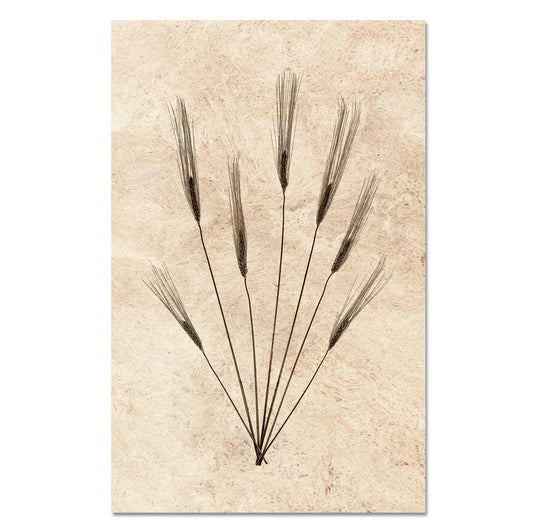 Wheat Form #2