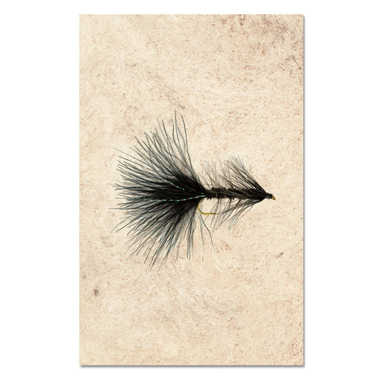 Woolly Bugger