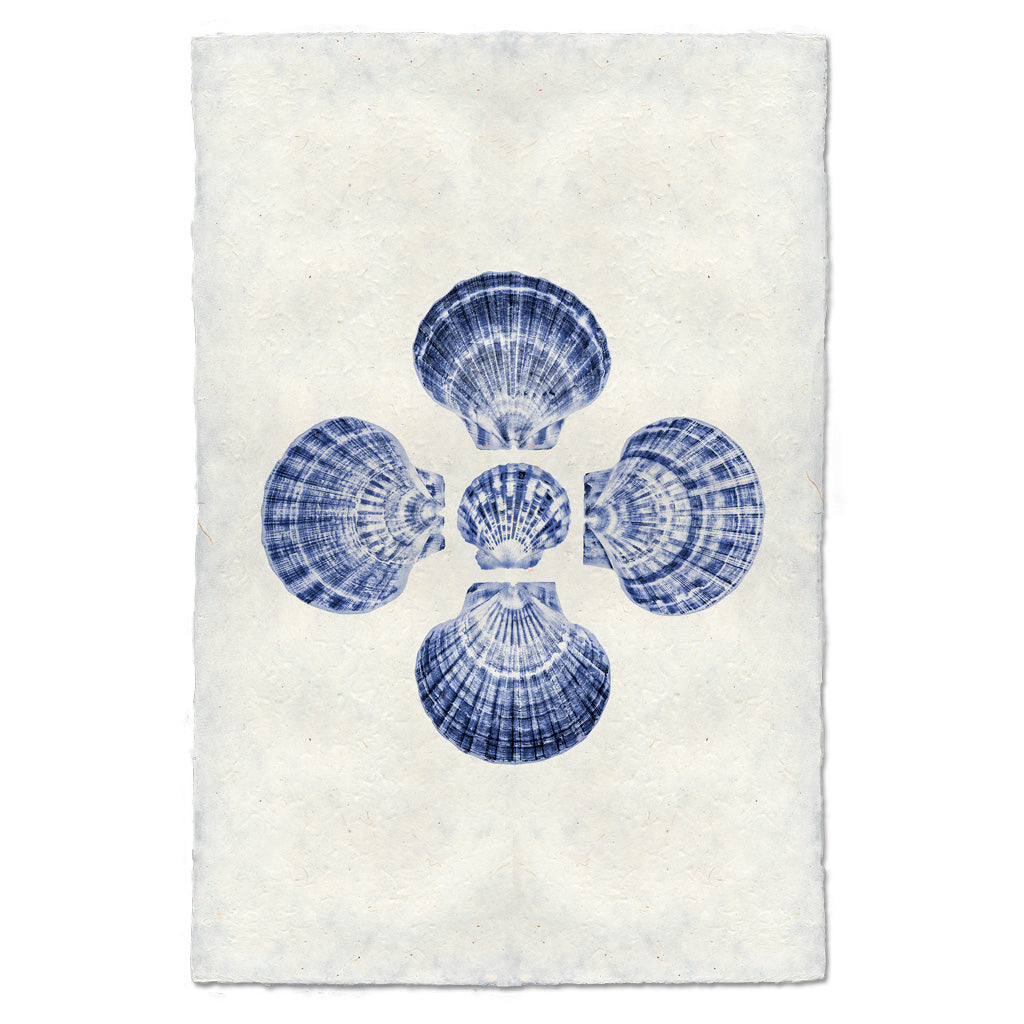 Five Scallops