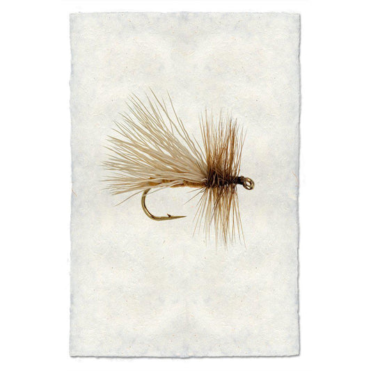 Caddis Variant