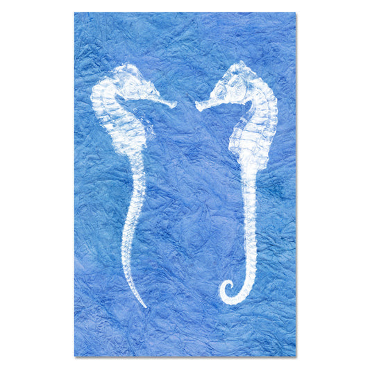 Double Seahorse
