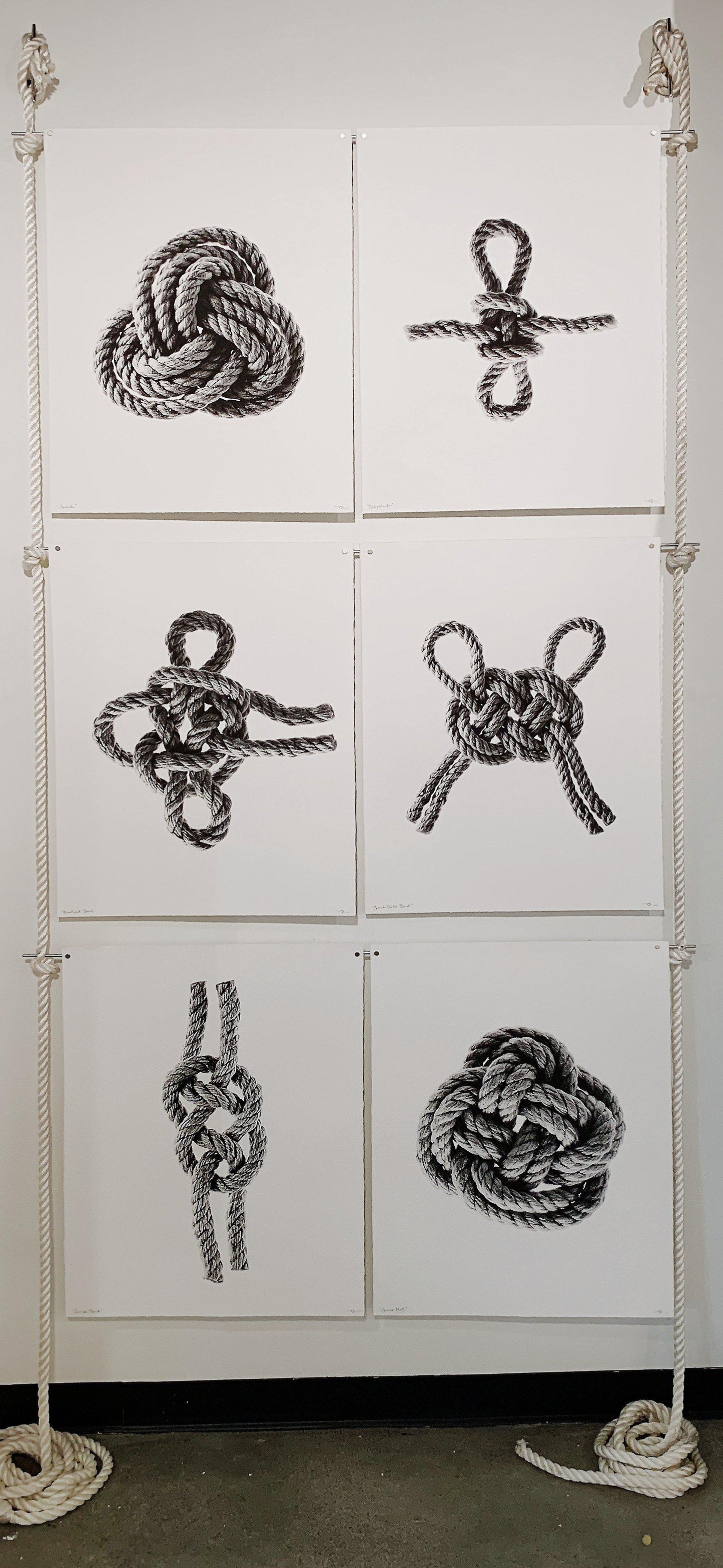 6 print rope and steel display