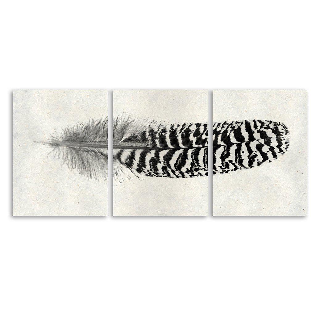Feather #13 Trilogy Horizontal