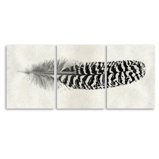 Feather #13 Trilogy Horizontal