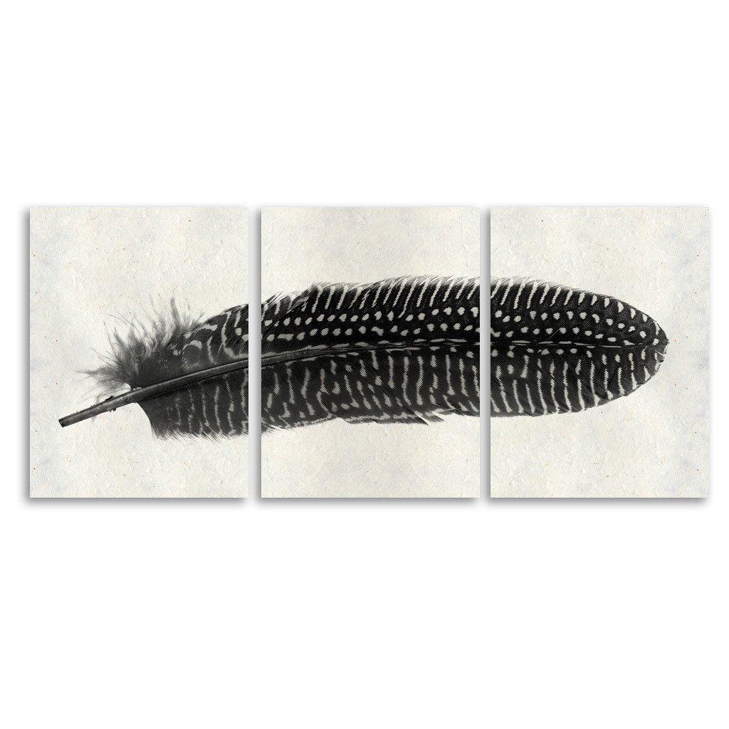 Feather #5 Trilogy Horizontal