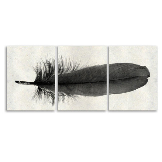 Feather #6 Trilogy Horizontal