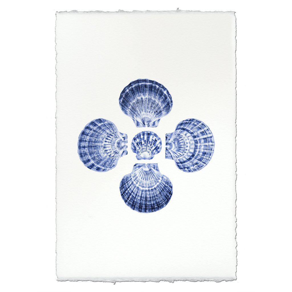 Five Scallops