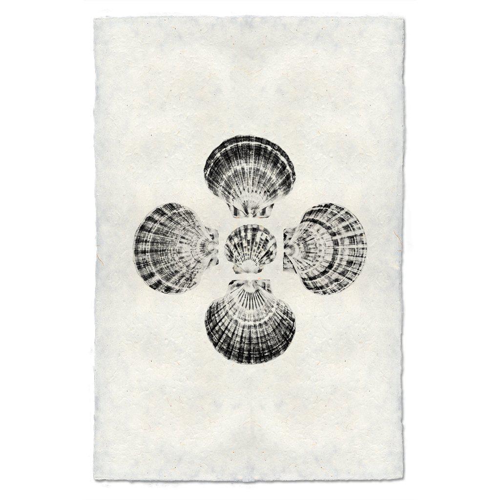 Five Scallops