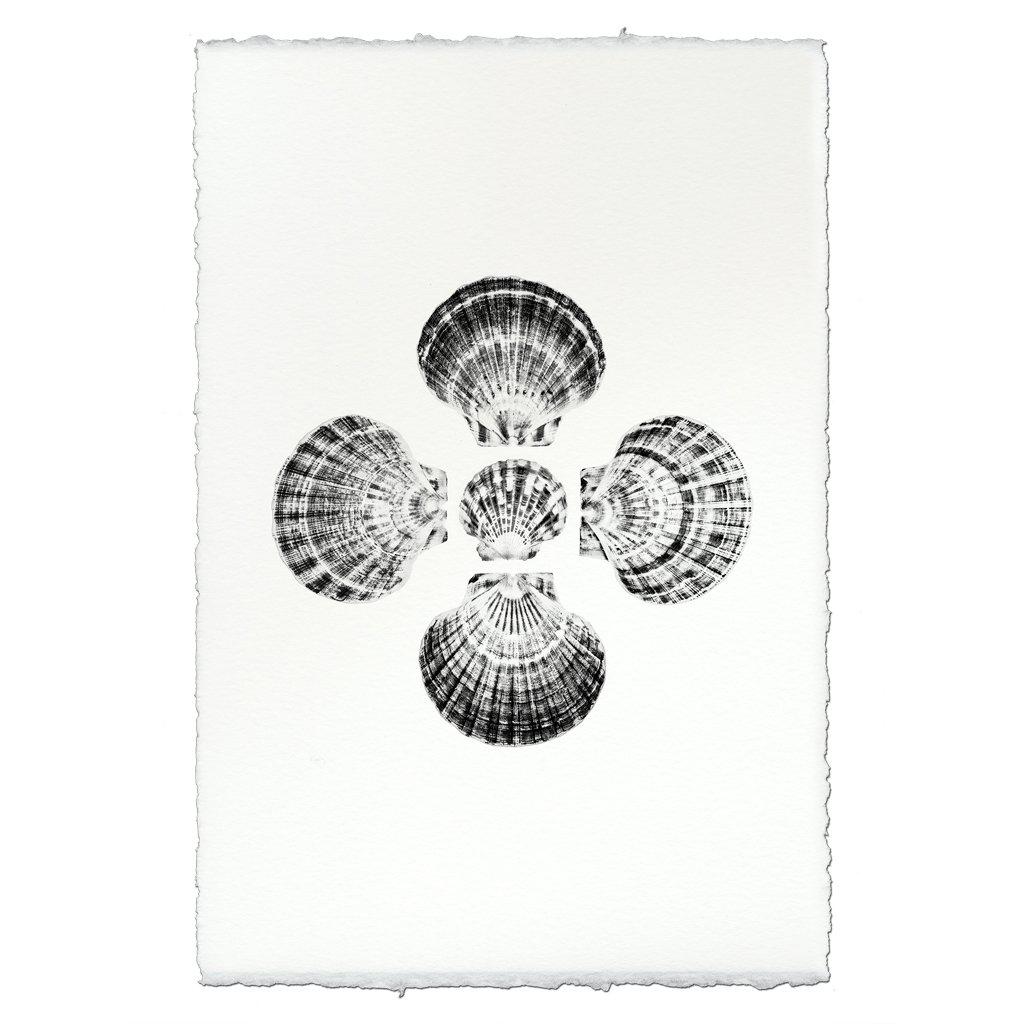 Five Scallops