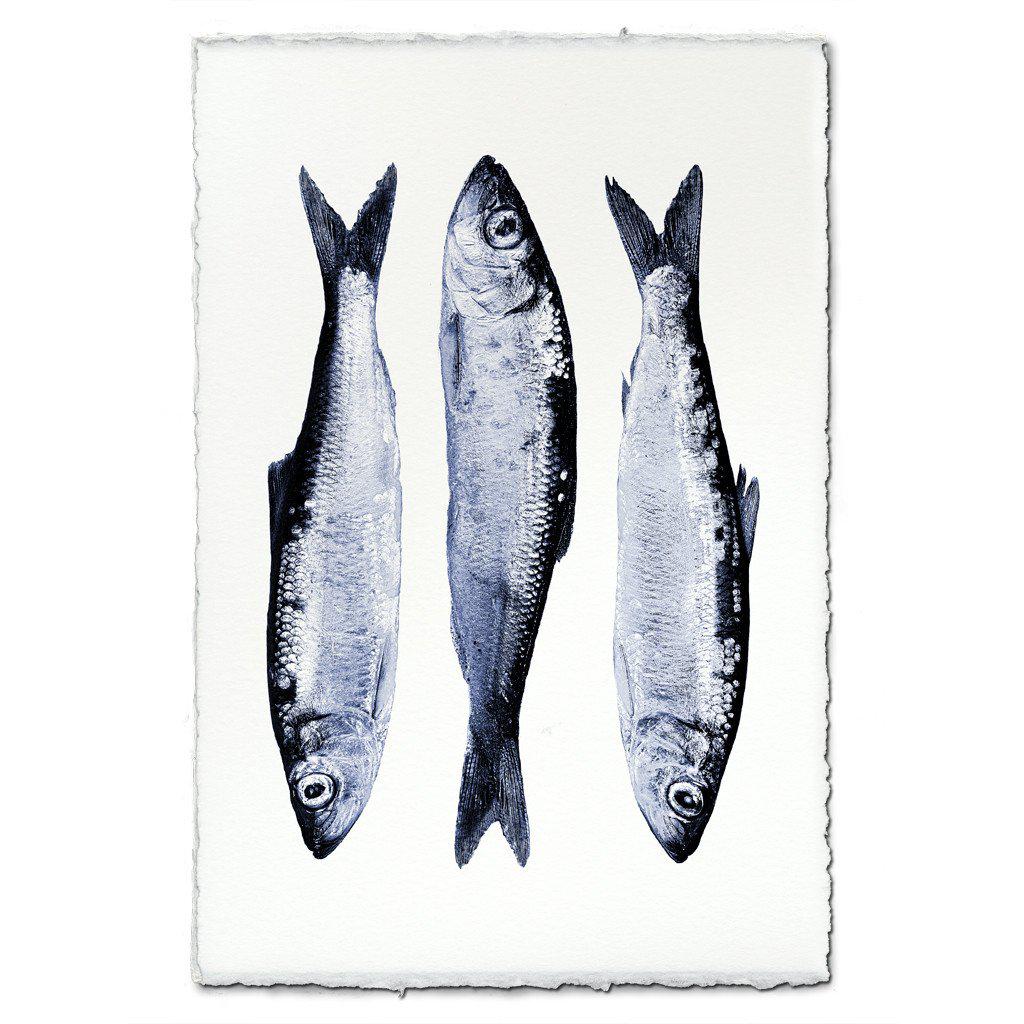 Three Herring