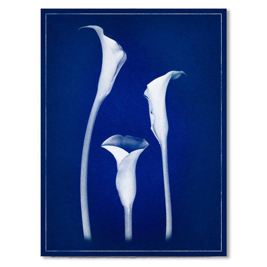 Lilies blue print
