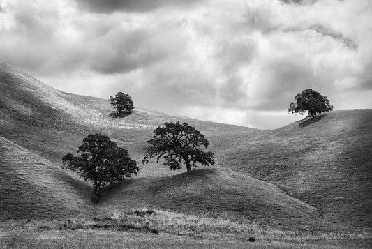 Nowhere #1- Northern California