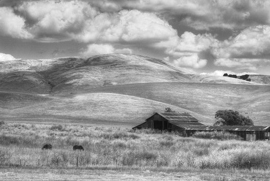 Nowhere #2, Northern California