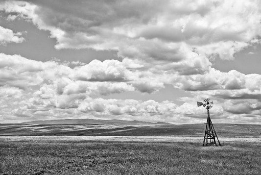 Nowhere #4 - Northern California