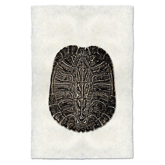 Vinyl Turtle Shell Turtle Shells – printstockist.com