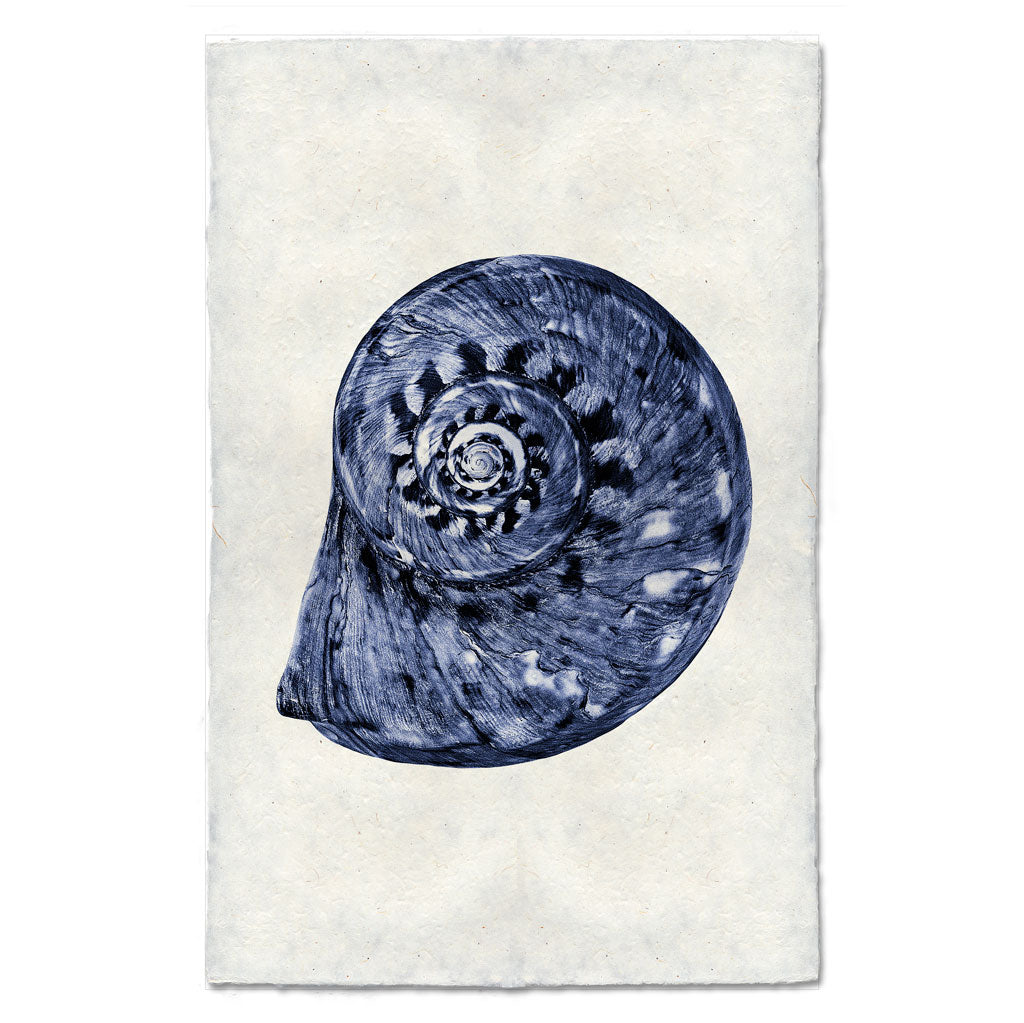 Spiral