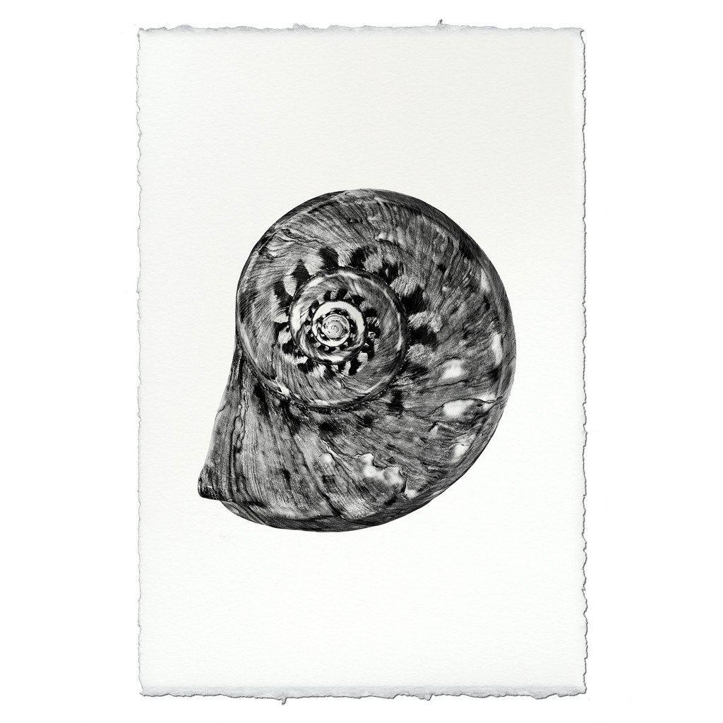 Spiral
