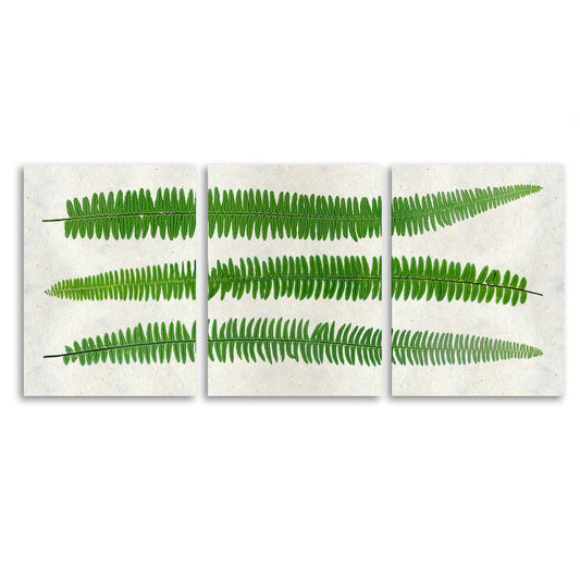 Sword Fern Trilogy Horizontal