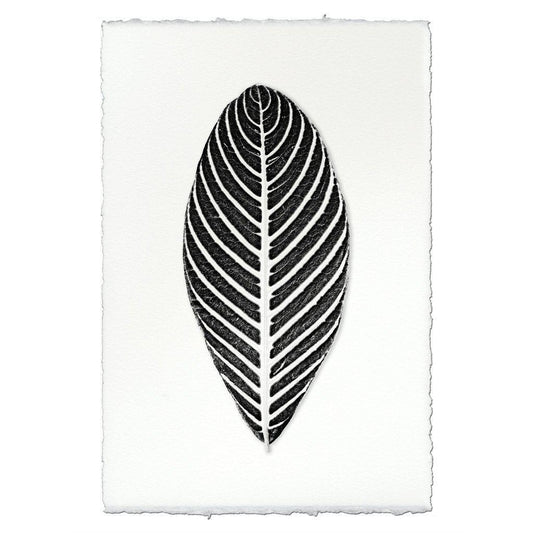 Zebra Leaf